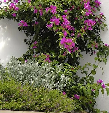 Casa San Tomas Guejar Sierra